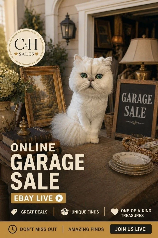 Garage Sale.  Beat the HEAT.  $1-5 starts.