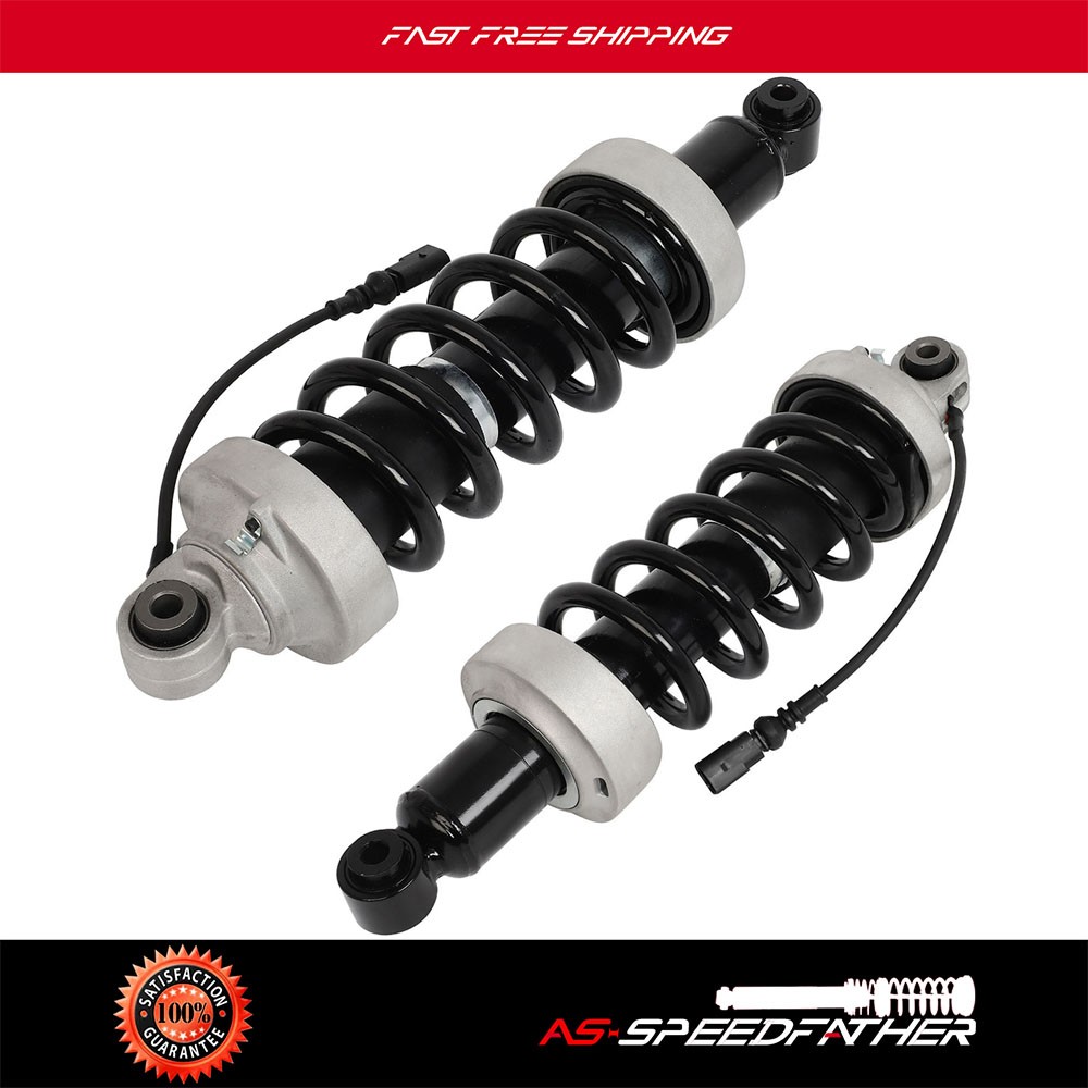 Audi R8 2009-2015 Rear Right Air suspension struts Pair