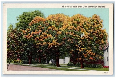 c1940's The Golden Rain Tree New Harmony Indiana IN Vintage Postcard