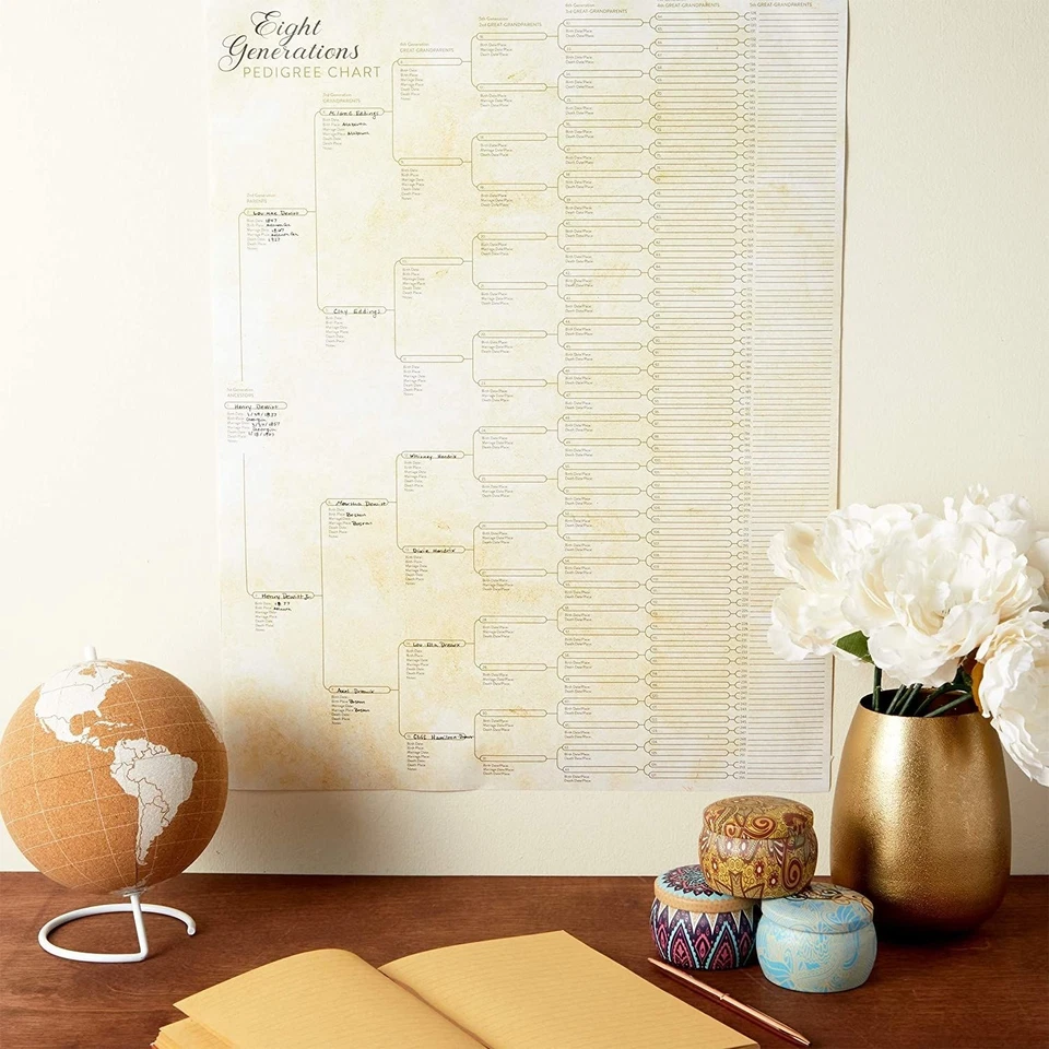 15 Pack Family Tree Charts to Fill In, Eight Generation Genealogy Poster, 17x22" - Image 3 of 4