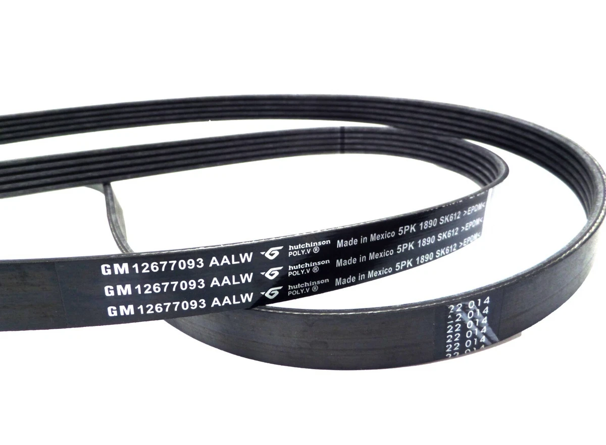 12677093 Serpentine Belt Primary Accessory Drive 2017-2021 