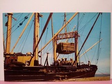 Buque de carga oceánica cargando pastel de soja en puertos del sur de Texas