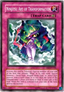 Ninjitsu Art of Transformation - DR2-EN164 - Common - Unlimited Edition x3 - Lig