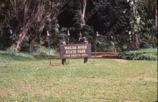 Sl60  Original slide 1960's Hawaii  Wailua river state park Fern Grotto 762a