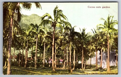 C.1910 HONG KONG CHINA COCONUT GARDEN GRACO EGYPTIAN TOBACCO STORE Postcard P64