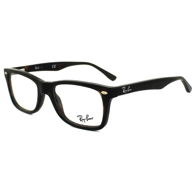 ray ban glasses 5228