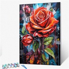 Romantic Rose Graffitic Street Art Kit - DIY Paint by Numbers for Kids  Adults