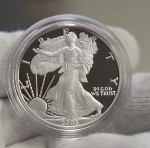 2005 W 1oz US American Silver Eagle $1 Dollar Proof Bullion Original Capsule