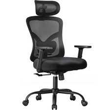 Ergonomic Office Chair with Padded Lumbar , 2D Headrest, Adjustable Armrests,...