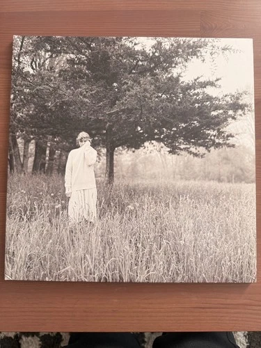 Used Taylor Swift Folklore Hide and Seek Blue Double Vinyl