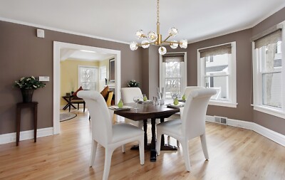 Chandelier Modern Kitchen Dining Room Crystal Gold Sputnik 8 Light Fixture 24''