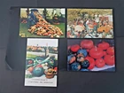 Tranzault Annual Pumpkin Fair Postcards (36) New