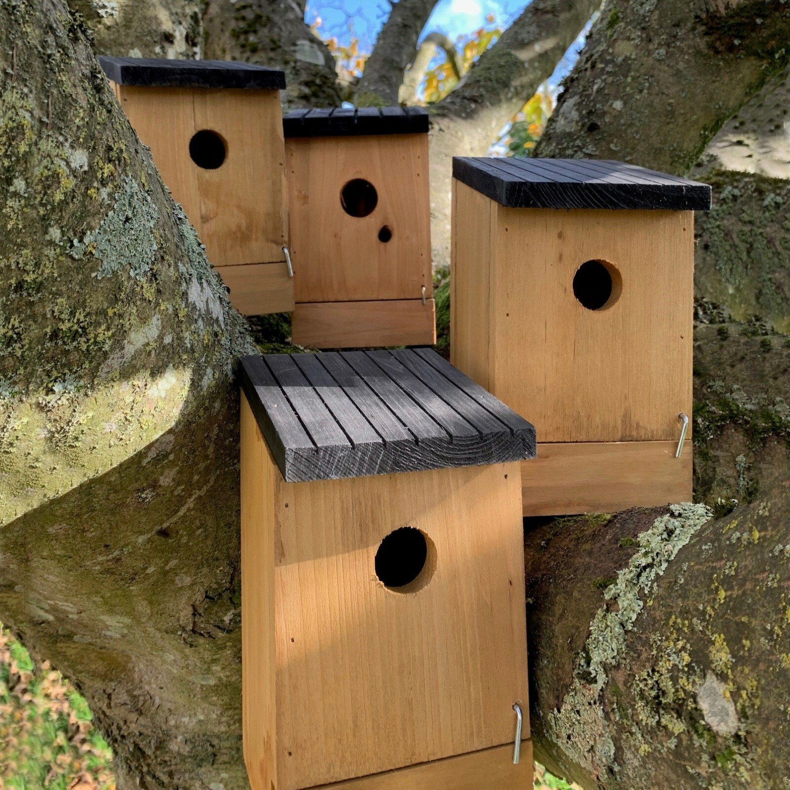 Wooden Birdhouse Box Nesters Nesting Box Small Wild Garden Boxes (Set of 4)