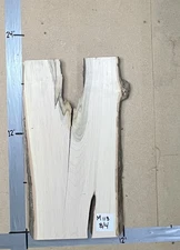 Maple Live Edge Slab | 2" Thick | Kiln Dried | Ships FREE | M113