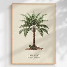 Tree Fern Botanical Print – Cyathea Natural History Illustration Art