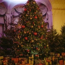 VICTORIAN CHRISTMAS Fragrance Oil to craft Candles Soaps Lotions Bath products