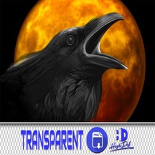 50 CROW TRANSPARENT PNG PHOTOSHOP OVERLAYS, ISOLATED ANIMALS PNG FILES PHOTOSHOP