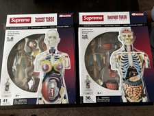 NIB Supreme 4D Master Human Anatomy Model Fem...
