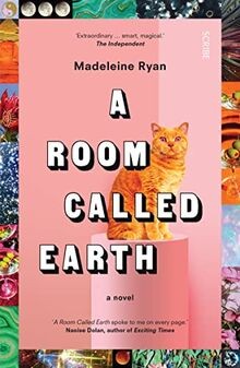 A Room Called Earth von Ryan, Madeleine | Buch | Zustand gut
