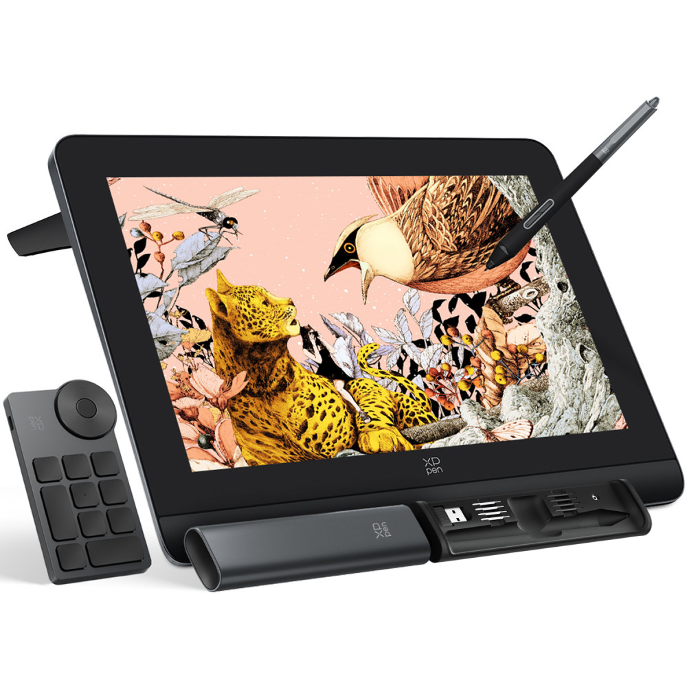 XPPen Artist Pro 16 (Gen 2) Tavoletta da Disegno, 2.5K QHD Schermo Completamente Laminato