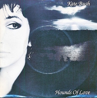 Hounds Of Love / The Handsome Cabin Boy - Kate Bush - Single 7'' Vinyl 188/21
