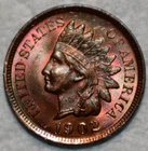 Brilliant Uncirculated 1902 Indian Head Cent, Iridescent, Red-Brown specimen.