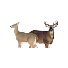 MONTANA DECOY Dream Team Buck and Doe, Multi