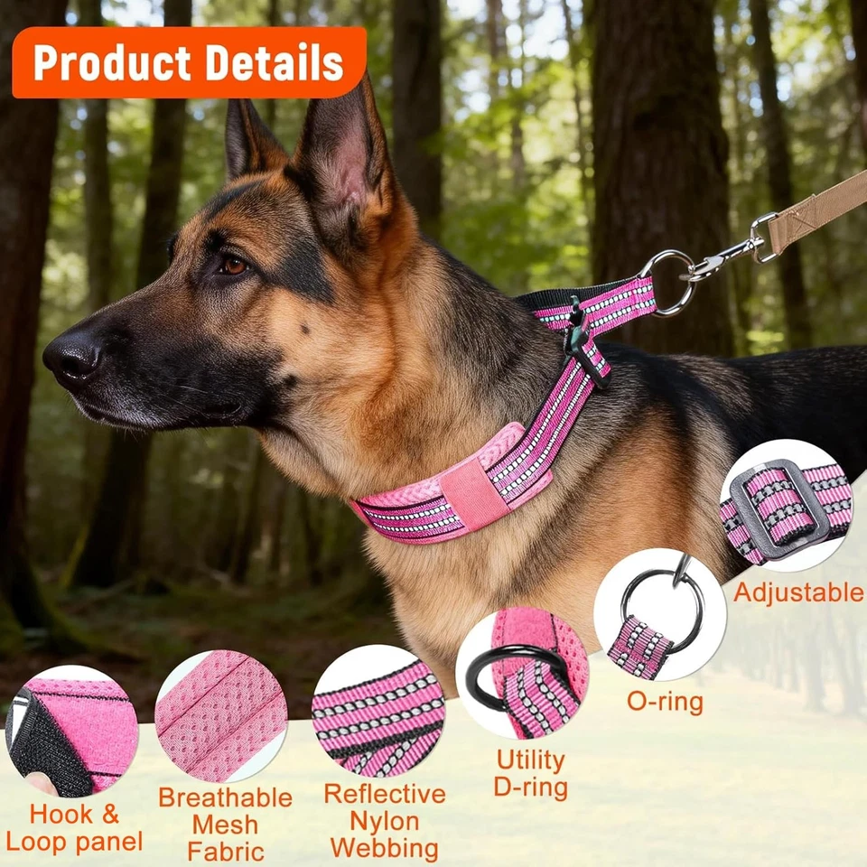 Collier pour Chien en Nylon Résistant, Collier Martingale Chien Grand Moyen - Photo 2/4