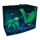 GloFish Betta Aquarium Kit 3 Gallons With LED Lighting & 3-stage Filter System 