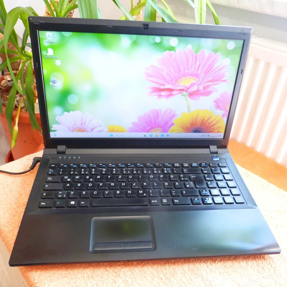 Terra 1512 15 Zoll Multimedia l Windows 11 l 16GB RAM NEU l DUAL CORE Mit Mangel - Bild 3 von 4