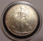 2001 Silver Eagle Uncirculated 1 oz .999 Fine Silver American Coin Capsule