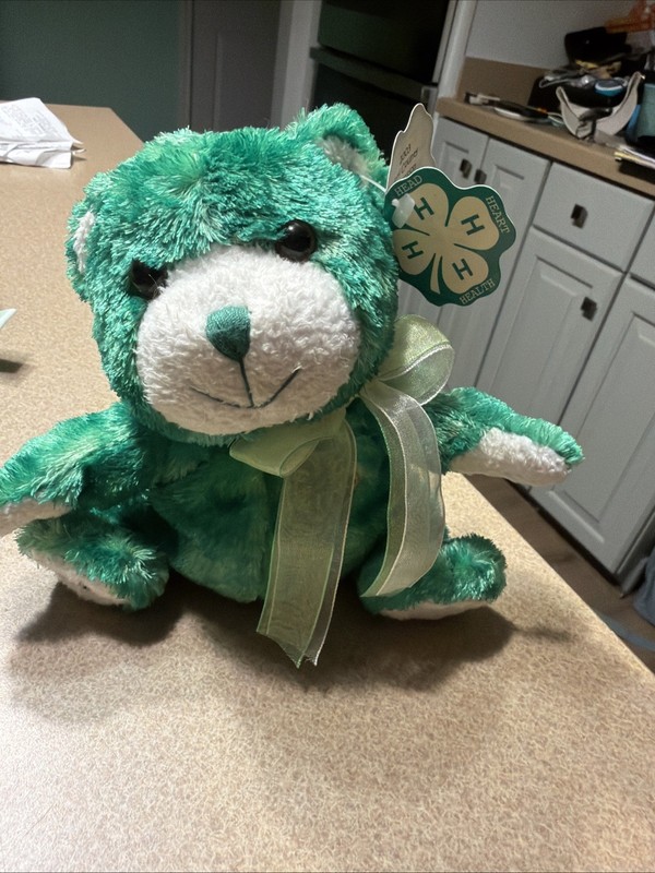 2003 4-H County Extension Agent Bear 1611 Of 3100 Rare!