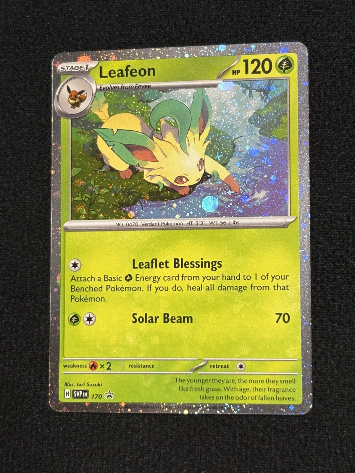 Pokemon Leafeon SVP 170 Scarlet & Violet Holo Black Star Promo Card NM Condition