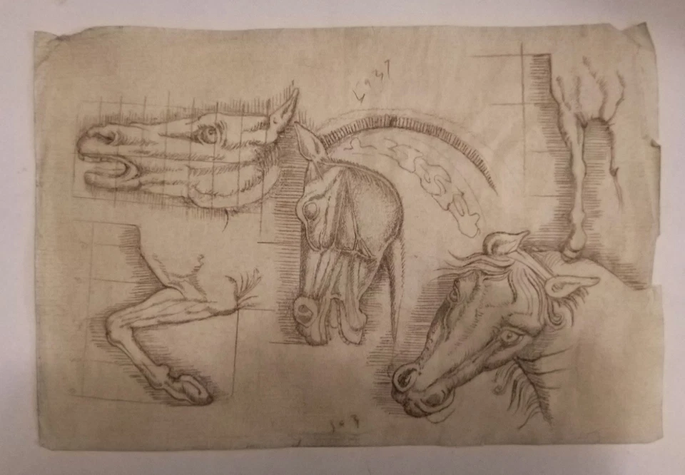 Original Hand Drawing Horse Studies Walnut Ink on Paper - Image 2 of 4