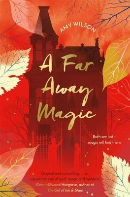 Amy Wilson A Far Away Magic (Taschenbuch)