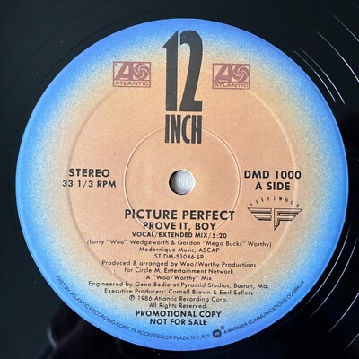 PICTURE PERFECT Prove It, Boy 1986 Vinyl Maxi-Single Fleetwood DMD 1000 - VG