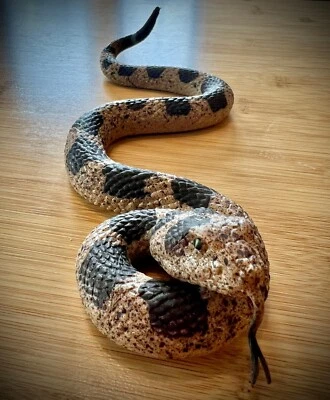 BRANDED Realistic Fake Snakes Toy Soft Rubber Snake Realistic Keep Birds and Squirrels