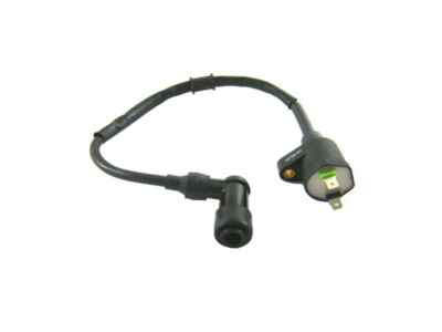 Zündspule RMS 2 Pins für Aprilia Benelli Derbi Gilera Piaggio Vespa/Piaggio