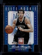 2012-13 ELITE ASPIRATIONS /80 ROOKIE TORNIKE SHENGELIA NETS