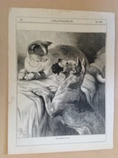  Chatterbox, dog waiting on a cat, by HARRISON WEIR, vintage print