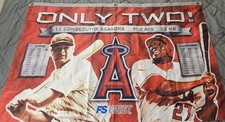 Los Angeles Angels Flag Banner 36