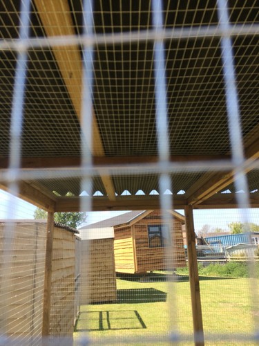 Covered Walk In Run Animals 19G 6ft x 9ft chicken rabbit bird aviary enclosure - Picture 5 of 5