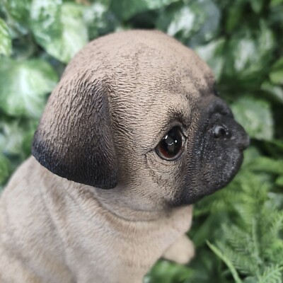 Bella - Pug Puppy for Sale in Huguenot, NY | Lancaster Puppies