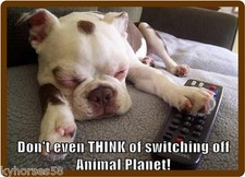 Funny Dog Humor French Bulldog Animal Planet Refrigerator Magnet