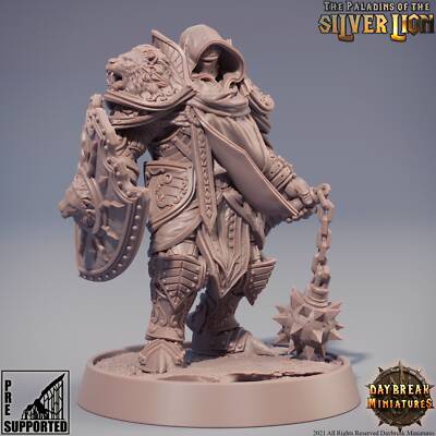 Paladins of the Silver Lion - Mattias du Lion Tuant | DnD Miniatures | Tabletop