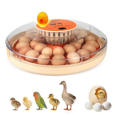 ZEMIRO CHARGE Serie II - 30 Egg Incubator for 30-Egg Orange, Orange