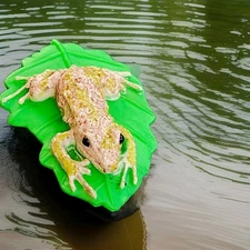 YOWIE Mutable Rain Frog Animals with Superpowers Collection 2.2" Animal Figurine