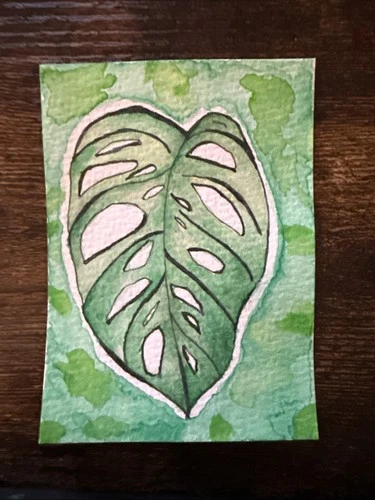 Original ACEO Watercolor  Monstera Leaf  Tropical Plant Mini Art By mdesigns316