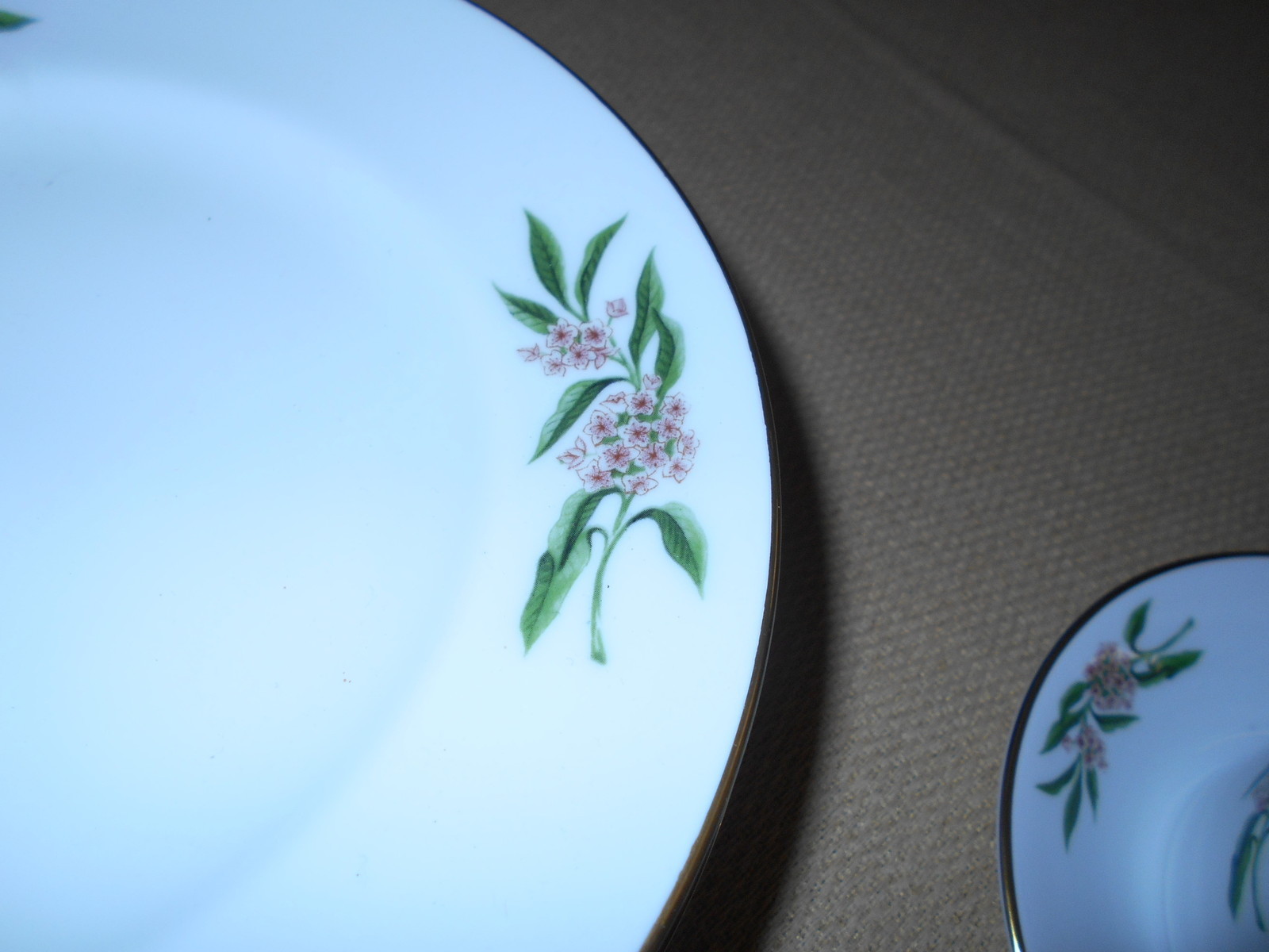 Coalport Porcelain Luncheon Set Pink Roses On Rim COA217 Strawbridge & Clothier