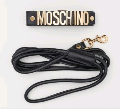 local animal rescue shelters near me